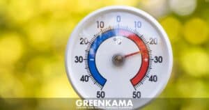 Klimadaten gefälscht? Der Streit um den wärmsten März Deutschlands