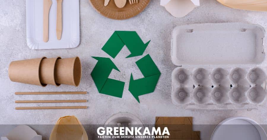 Wie Recycling den Klimawandel bekämpft - Canva