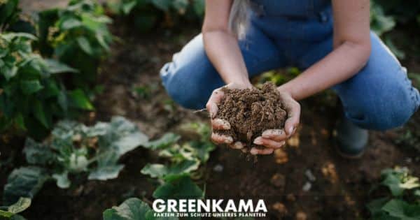 Verbesserung der Bodengesundheit: Natürliche Methoden für fruchtbare Gärten - Canva