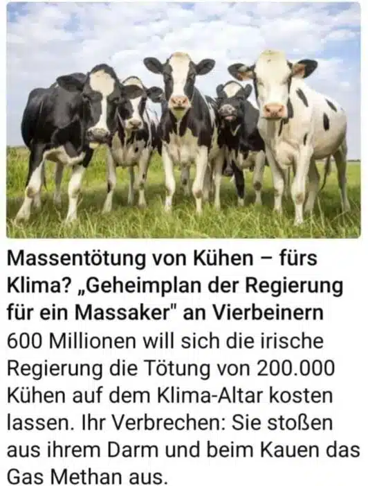 Kein Kuhschlachten für das Klima: Die Wahrheit hinter den irischen Plänen Kein Kuhschlachten für das Klima: Die Wahrheit hinter den irischen Plänen