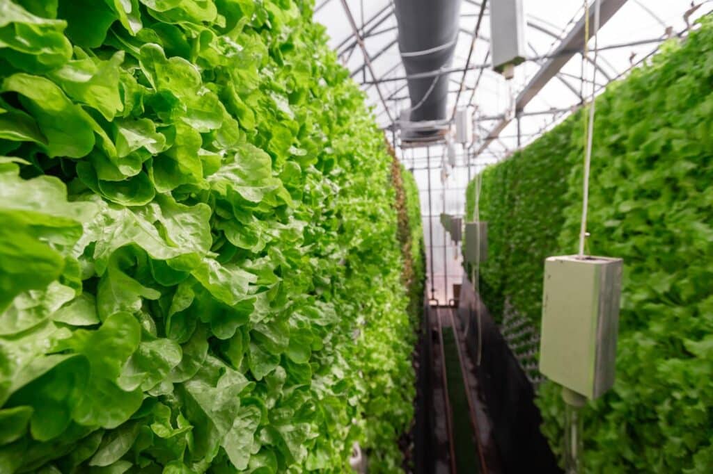 Vertical Farming: Nachhaltige Landwirtschaft der Zukunft Vertical Farming: Nachhaltige Landwirtschaft der Zukunft - Bild Freepik